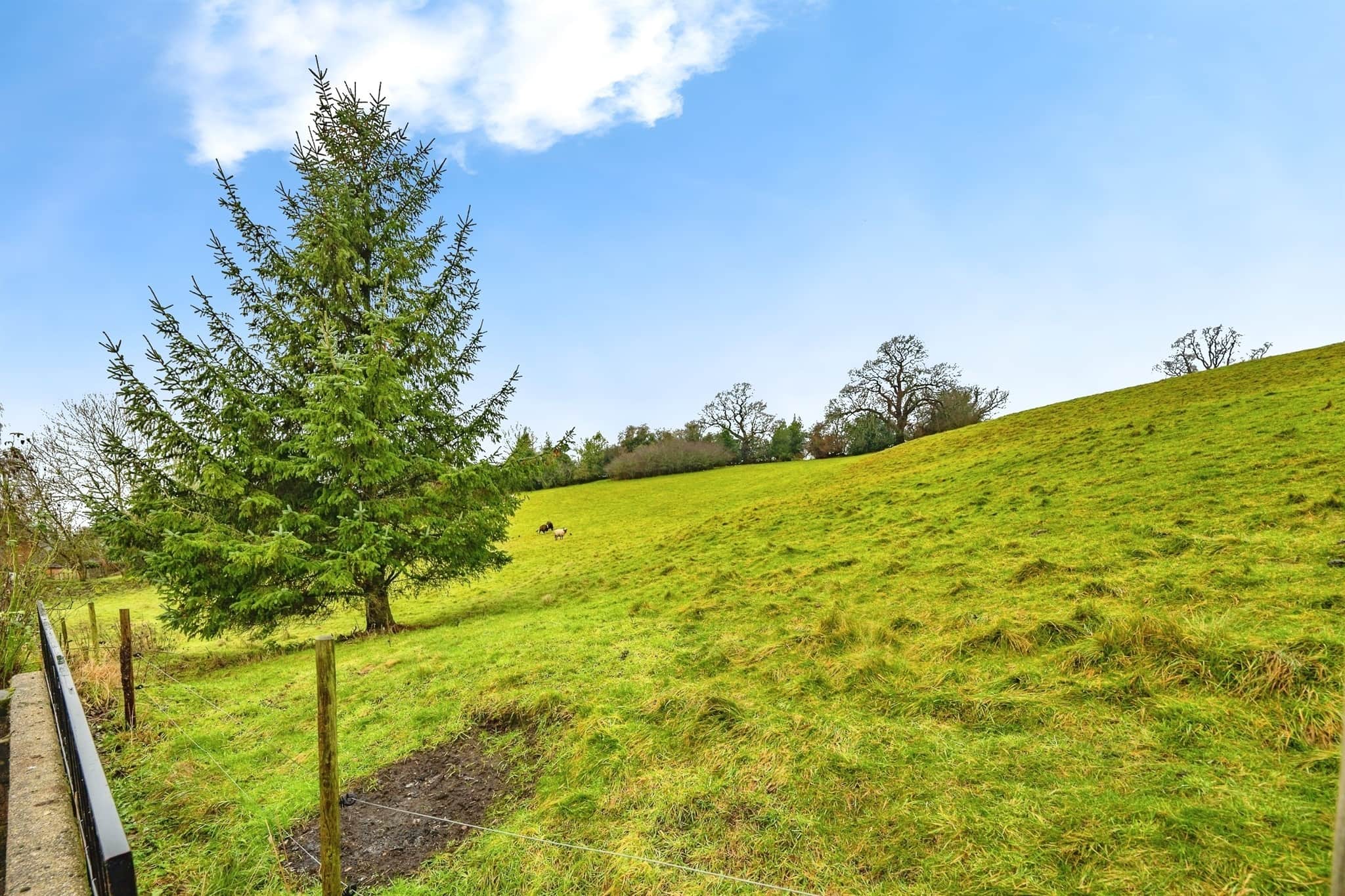 Property photo 19